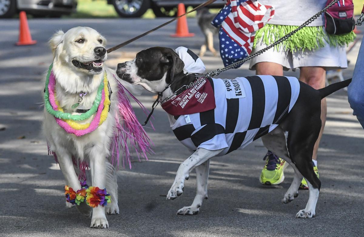 decgal fido5k 9 082817.JPG