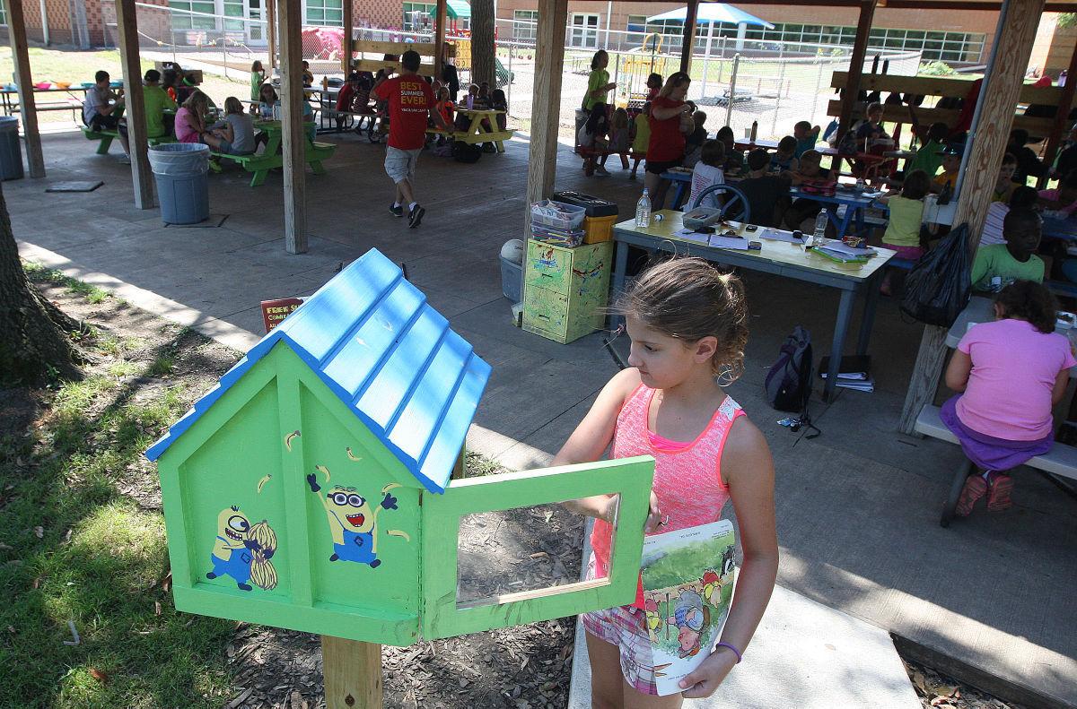 Little Free Libraries Continue To Pop Up In Community Local Herald Review Com