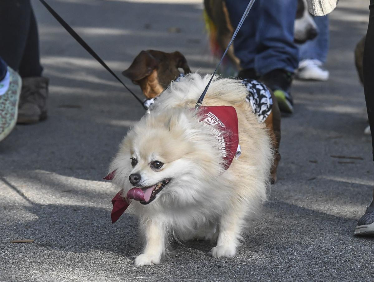 decgal fido5k 8 082817.JPG