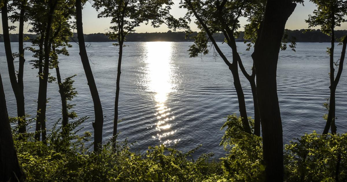 Have there really been alligators in Lake Decatur? We look at the urban ...
