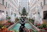 Rockefeller Christmas Tree Lighting Set on Wednesday Night: A Guide to the Event