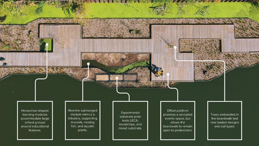 Illinois State researchers team up with Urban Rivers to study ecology, equity of Chicago River