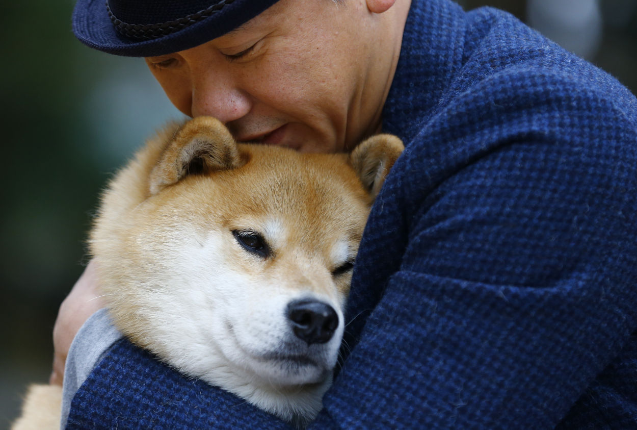 Marutaro store shiba inu