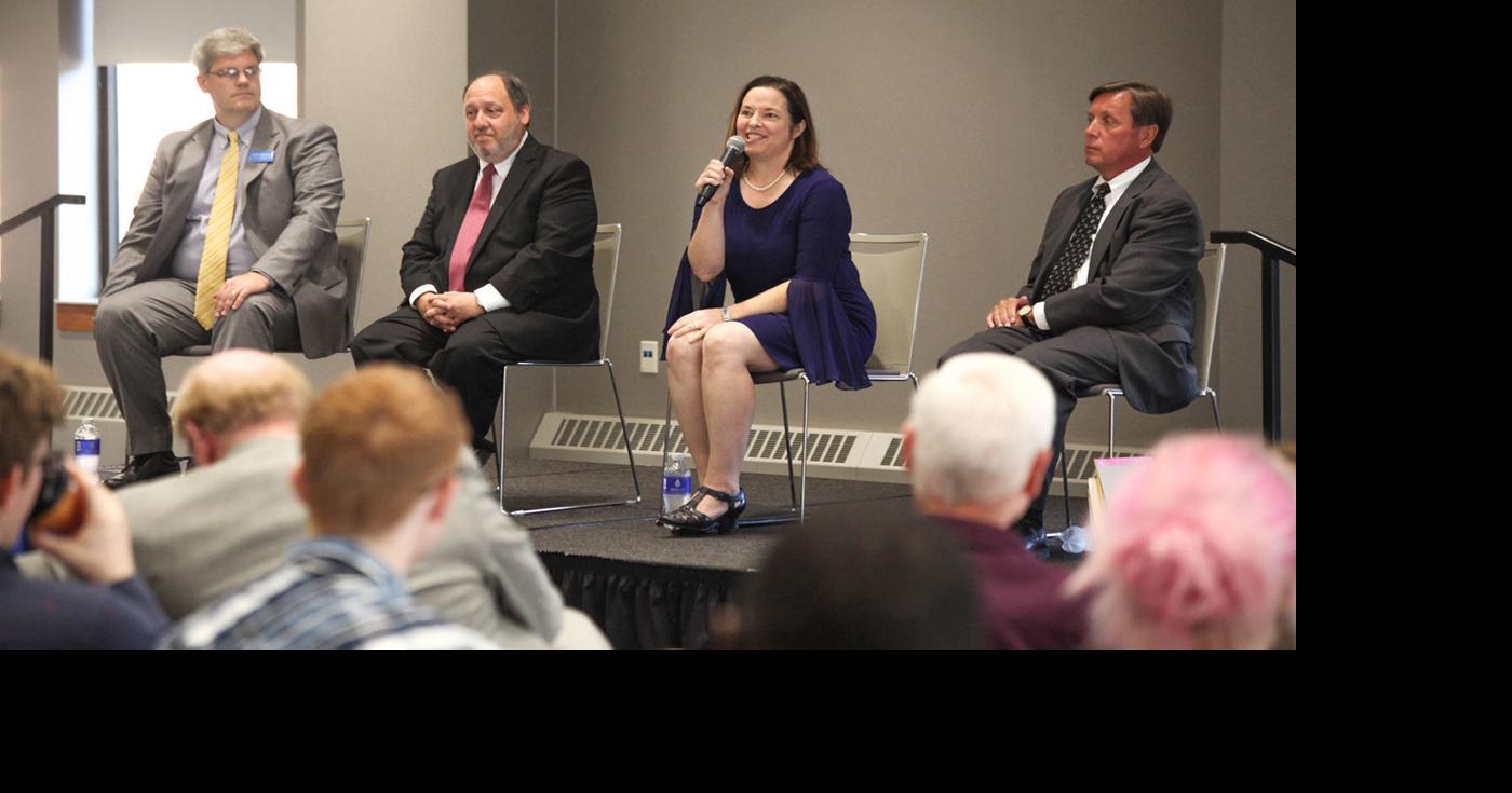 Meet the 4 people running for 2 Central Illinois judge positions