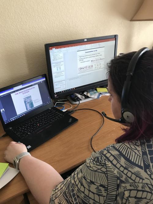 Millikin University Strives To Keep Courses Rigorous In Spite Of