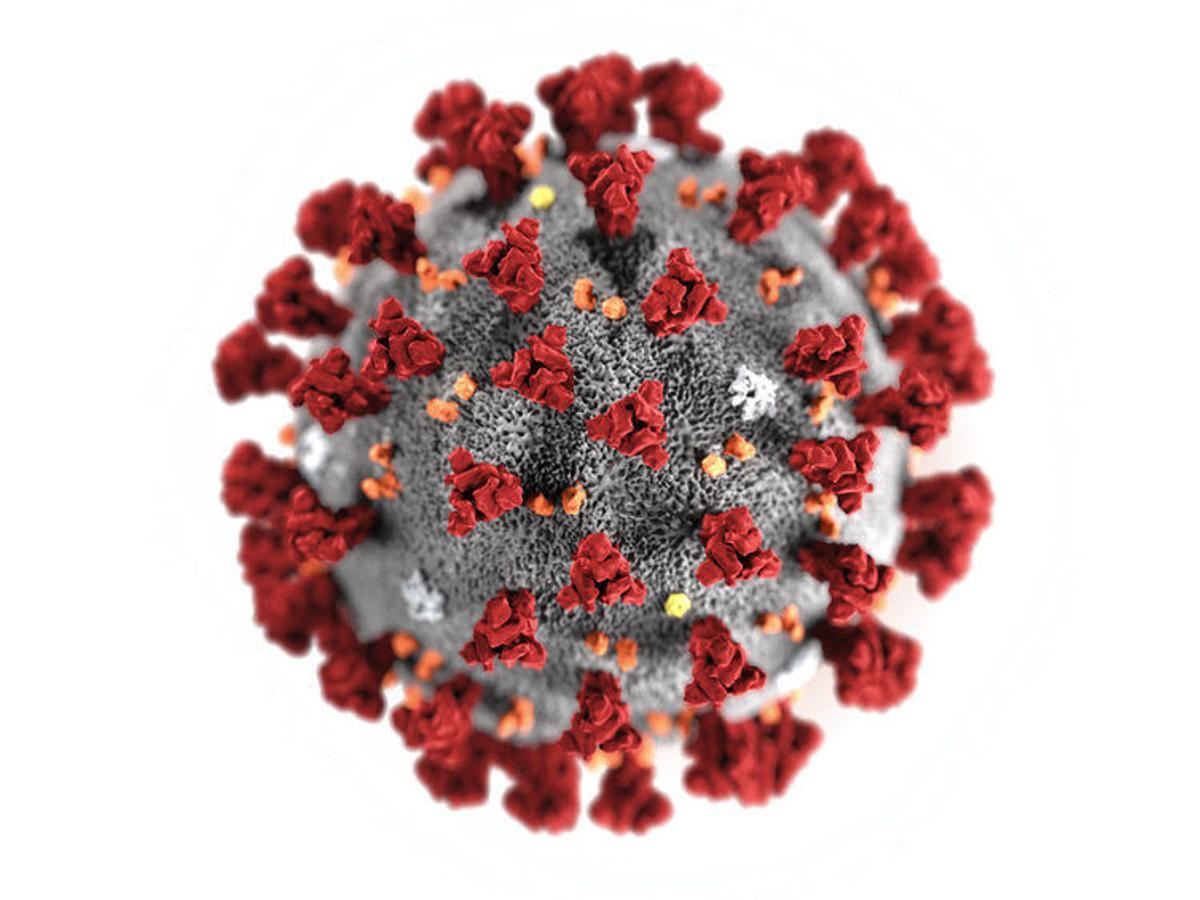 17 Cases Of Coronavirus Announced In Macon County On Friday