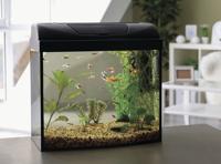 Beautiful aquarium on table in room