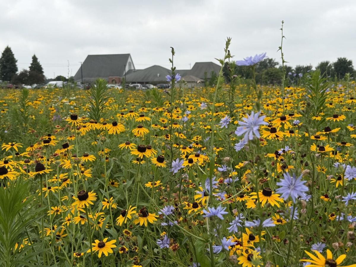First Presbyterian Church Prairie Celebration