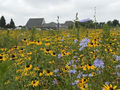First Presbyterian Church Prairie Celebration