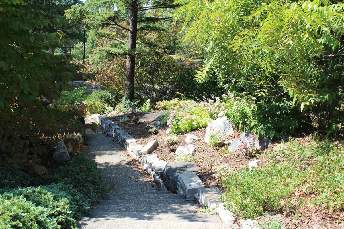 Fisher Rock Garden Herald Review Com