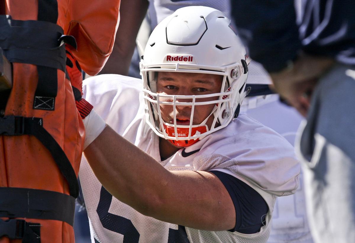 New Illinois Defensive Line Coach Brings Youth Energy Illini