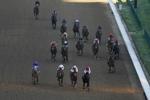 Kentucky Derby Horse Racing