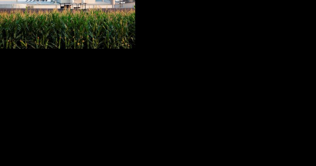 Illinois considers carbon storage, pipeline regulations - Vimarsana News