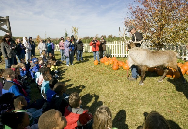 South Shores students get out of the city to visit Hardy's Reindeer Ranch
