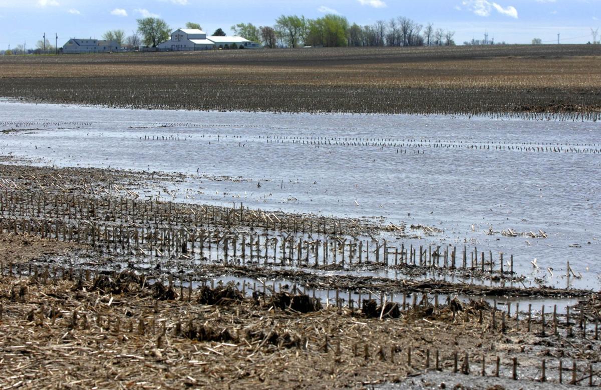 flooded field