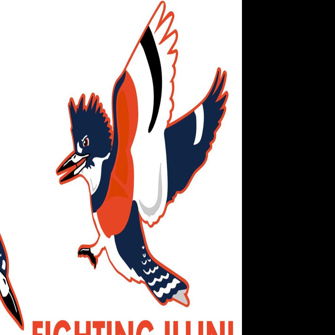 Could The Belted Kingfisher An Orange And Blue Predatory Bird Become The University Of Illinois New Mascot State And Regional Herald Review Com
