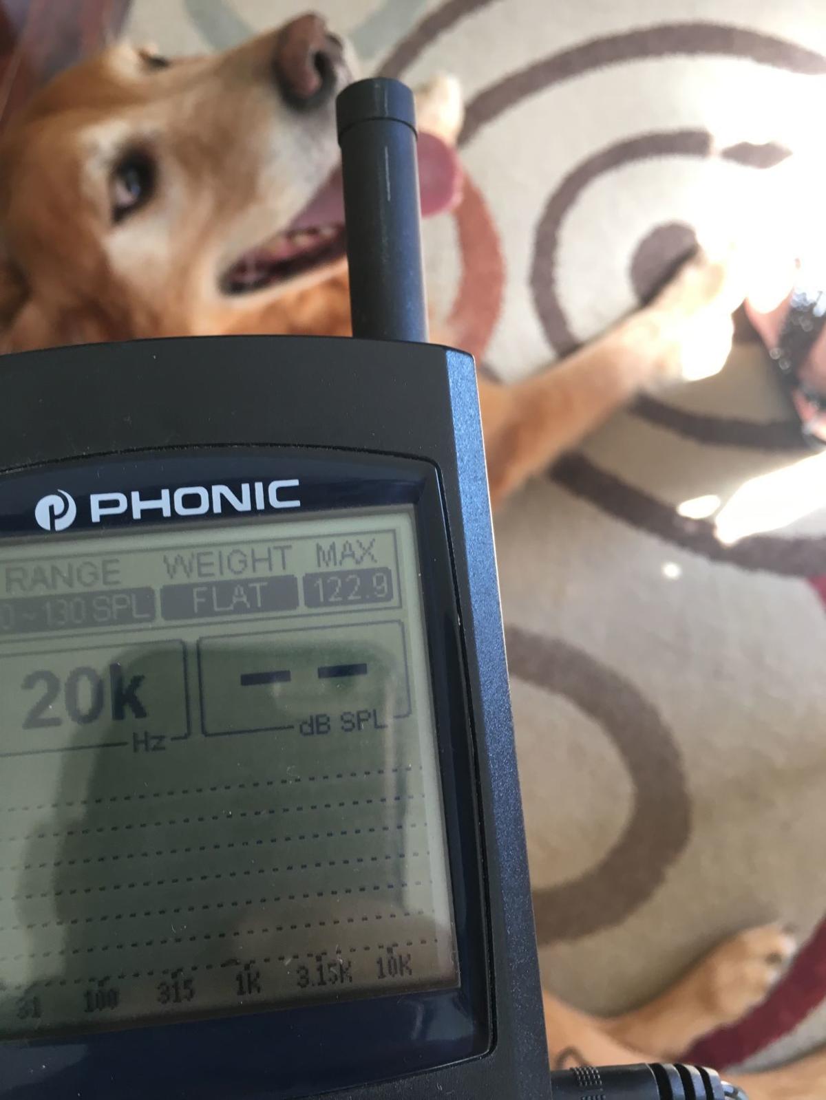 Does This Golden Retriever Have The World S Loudest Bark