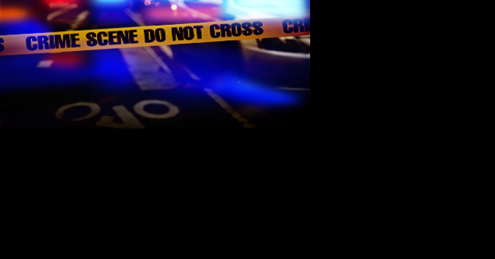 Pair fatally bludgeoned father hanging Christmas lights, Cook County prosecutors say - Vimarsana News
