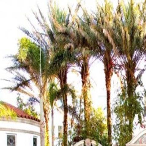 Column Peek Inside Homes Of Rich Famous Marni Jameson Herald Review Com