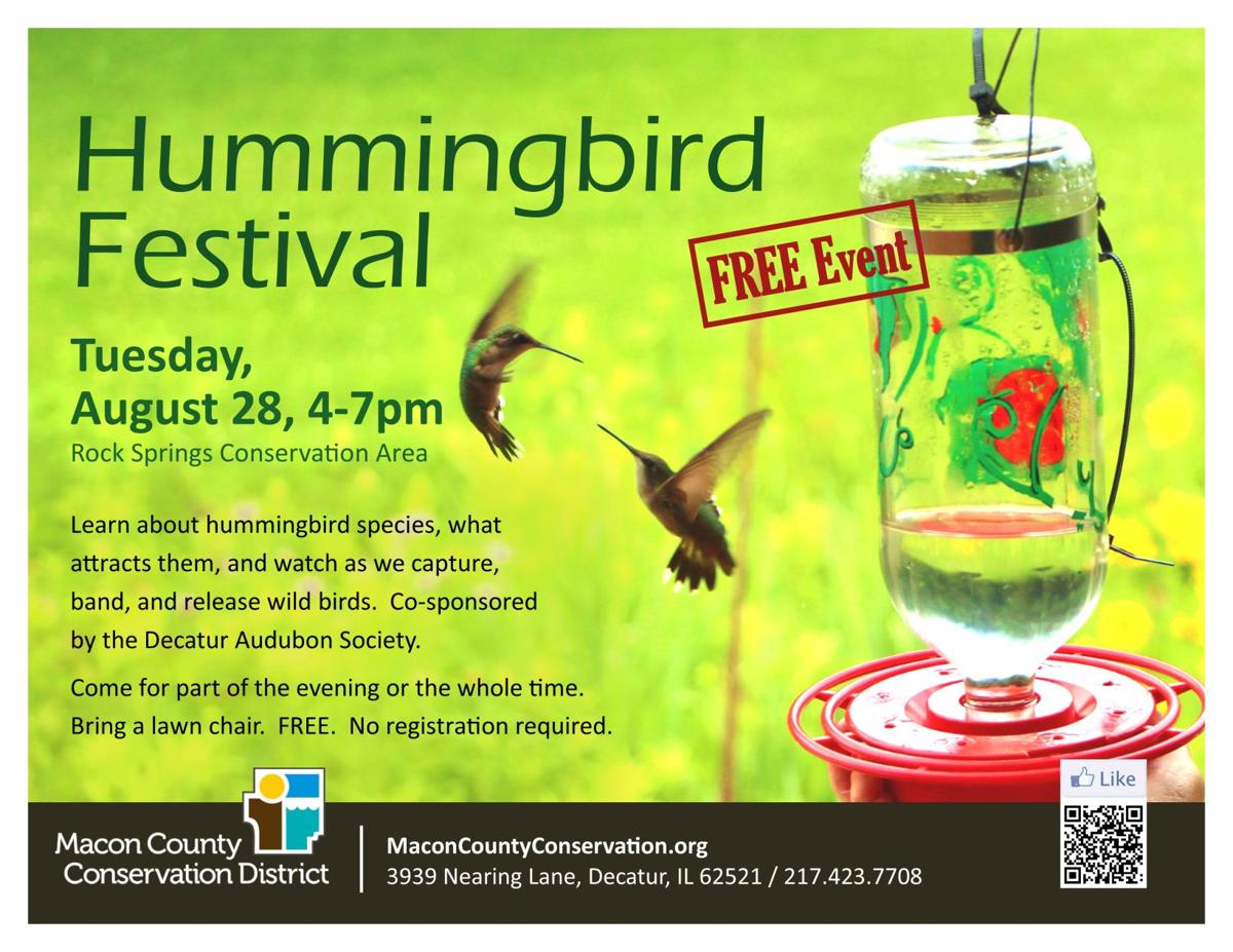 Hummingbird Festival Family