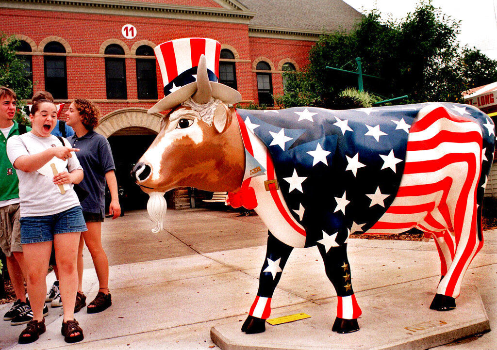 Fiberglass cows returning to Chicago