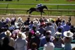 Kentucky Derby Horse Racing