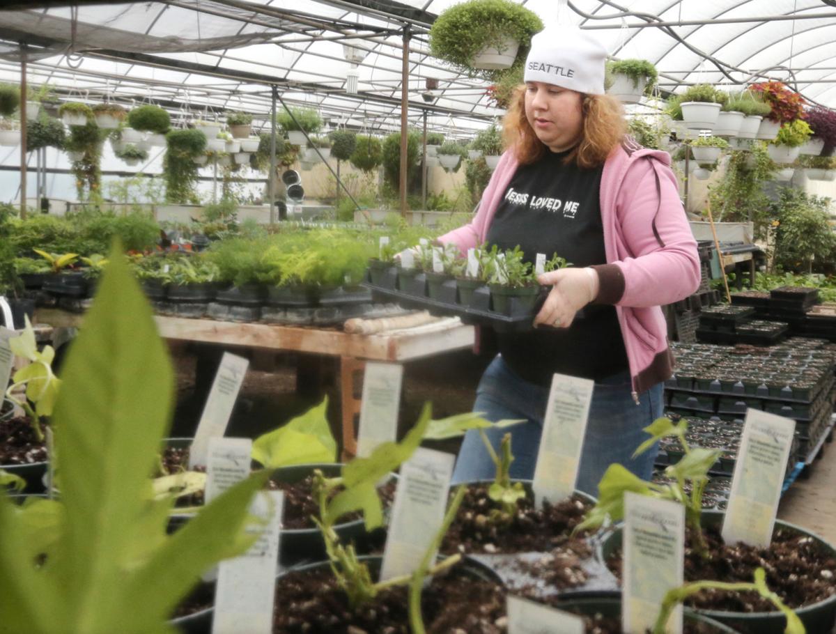 Ohio Greenhouse Grows Workers Family Herald Review Com