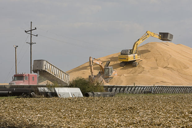 corn pile