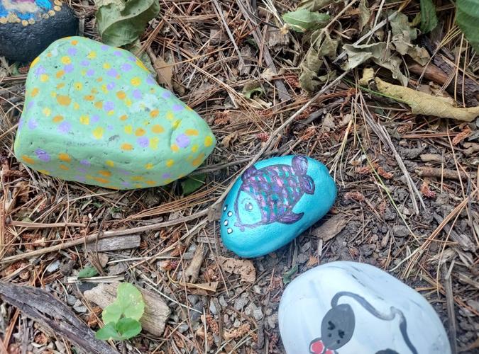 Mattoon community adds painted rocks to Roscoe the rock snake