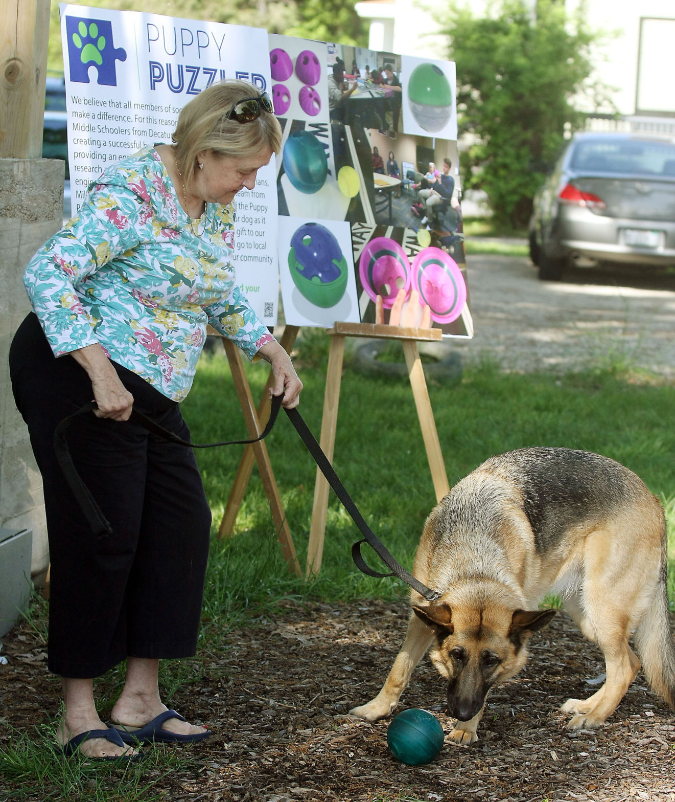 dog with all the rolls
