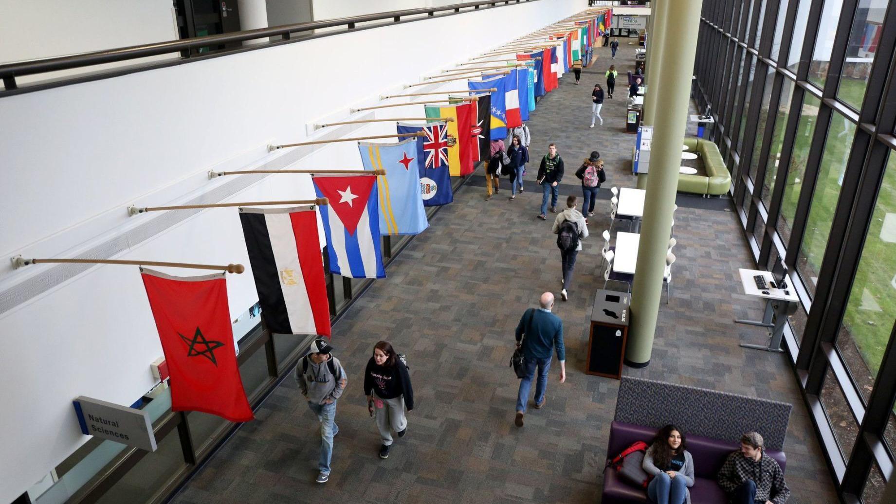 Illinois community college enrollment plummets as COVID-19 sidelines would-be students - Vimarsana News