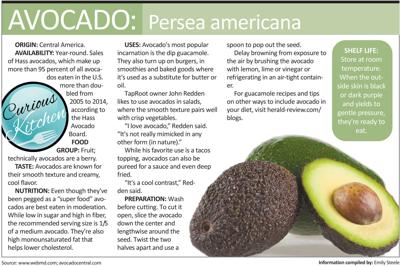 curious kitchen avocado body talk herald review com origin of avocado