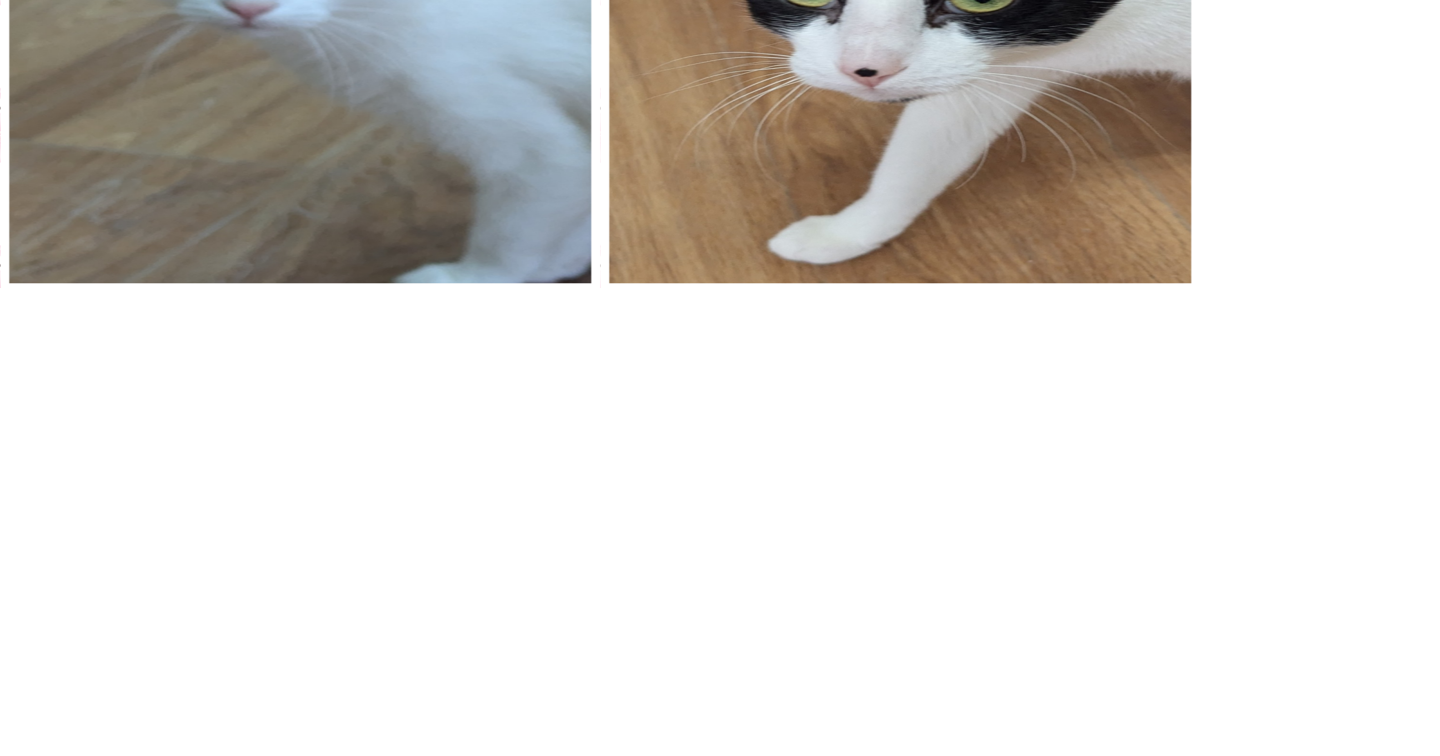 Meet Captain Morgan and Jim Beam