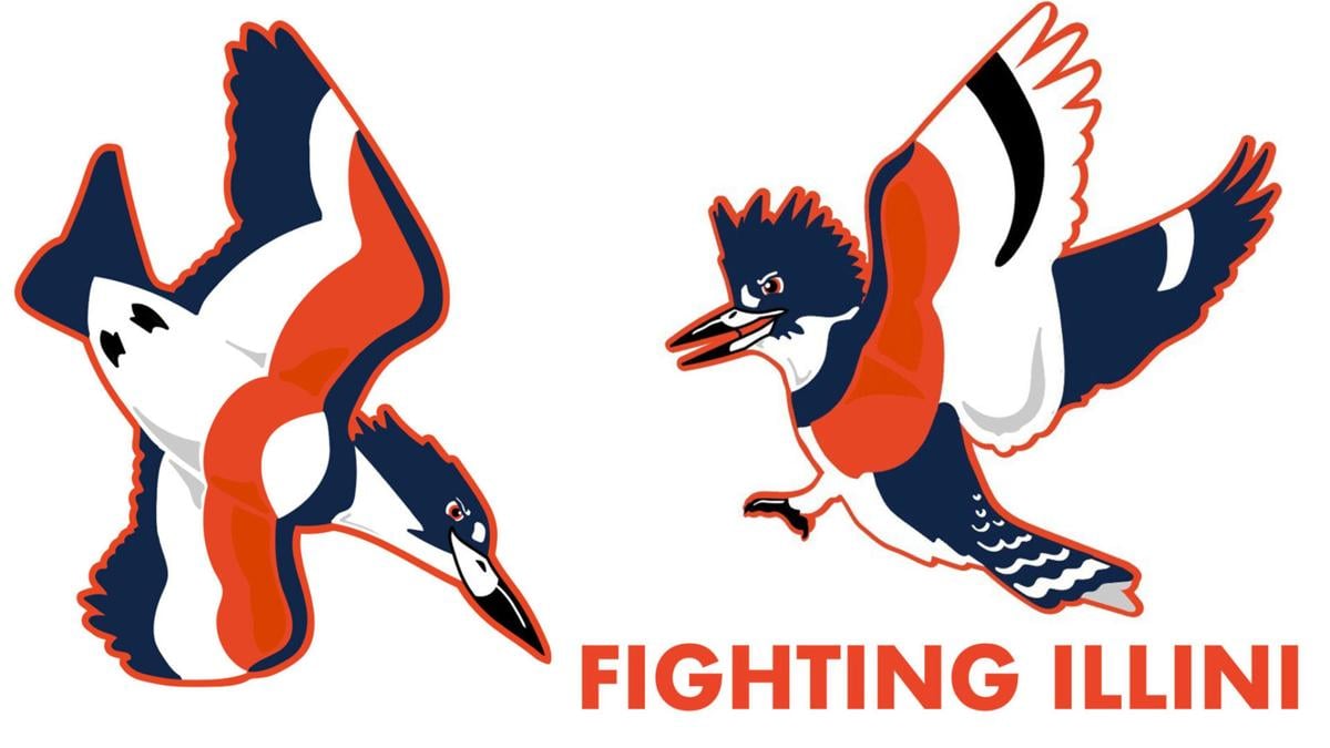 US-NEWS-COULD-THE-BELTED-KINGFISHER-AN-2-TB.jpg