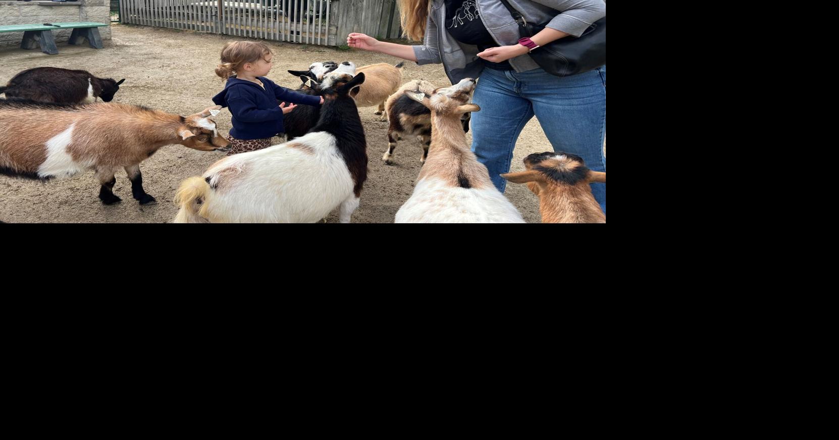 A weekend of celebrating moms at Scovill Zoo