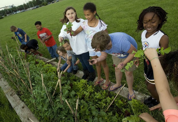 Brush College, ADM teamed up to grow green thumbs