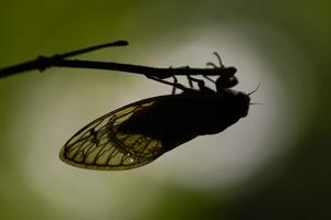 featured-image