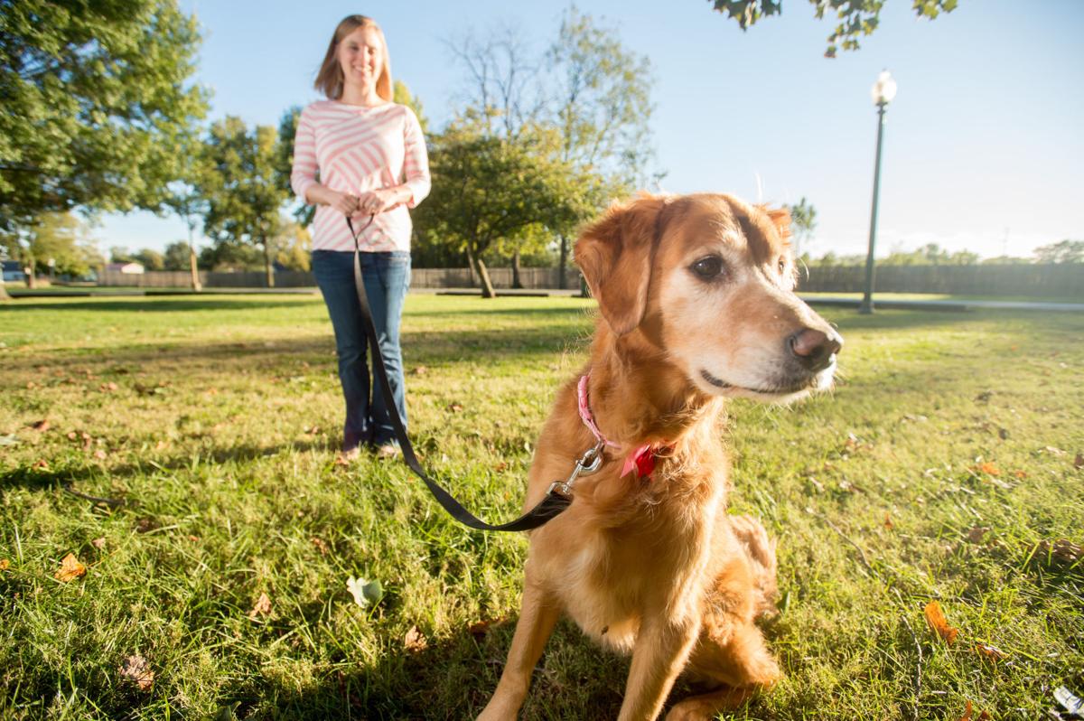 Does This Golden Retriever Have The World S Loudest Bark Her Mattoon Owners Are Seeking To Prove It Local Herald Review Com