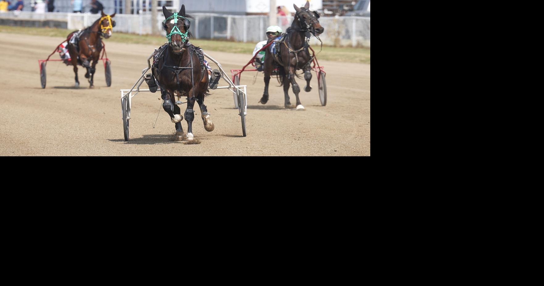Macon County Fair deemed a success