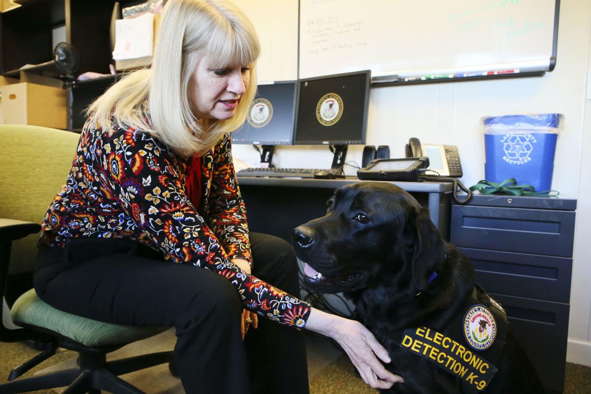 Illinois uses electronicsniffing dog for child porn cases