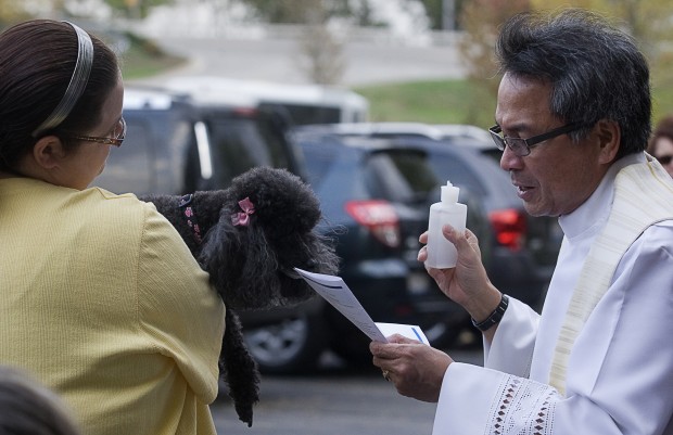 bless blackie 1004 lsm.jpg
