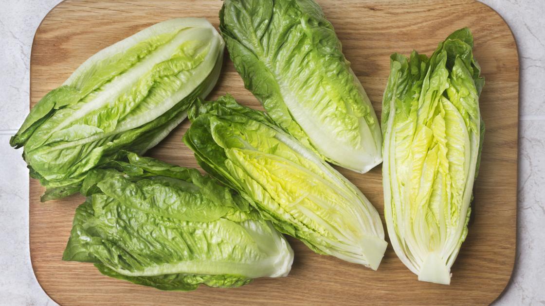 Fatal E. coli outbreak linked to romaine up to 149 people in Illinois, 28 other states