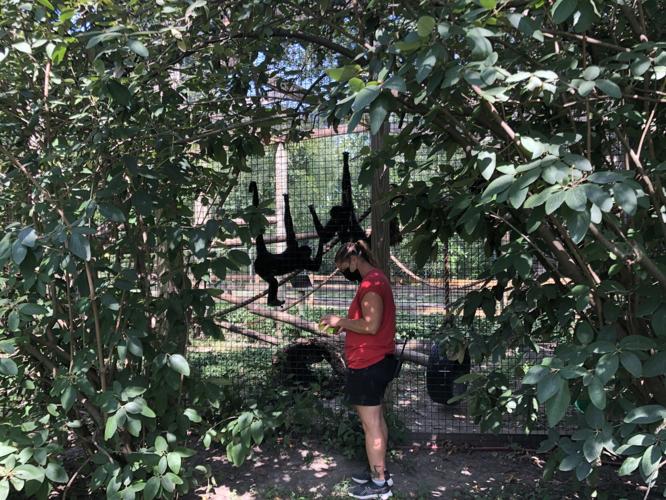 Scovill Zoo heat wave 2