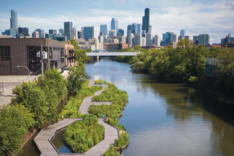 Illinois State researchers team up with Urban Rivers to study ecology, equity of Chicago River