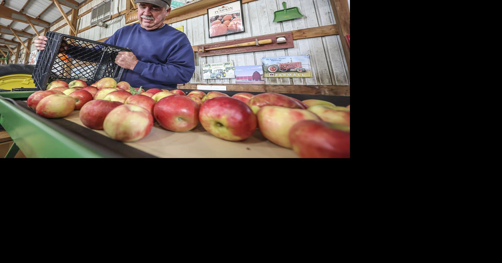 Gail's Pumpkin Patch to host 'Floats and Flowers' event