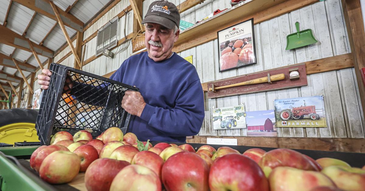 Gail Patching Gail's Pumpkin Patch to host 'Floats and Flowers' event