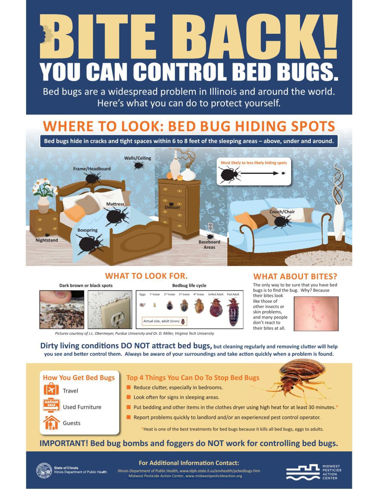 Bed Bugs Poster