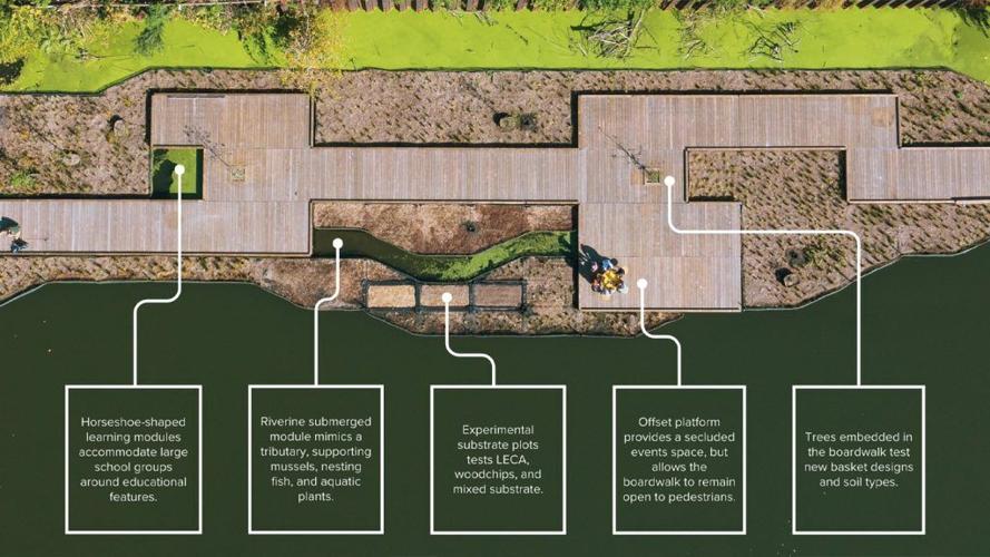 Illinois State researchers team up with Urban Rivers to study ecology, equity of Chicago River