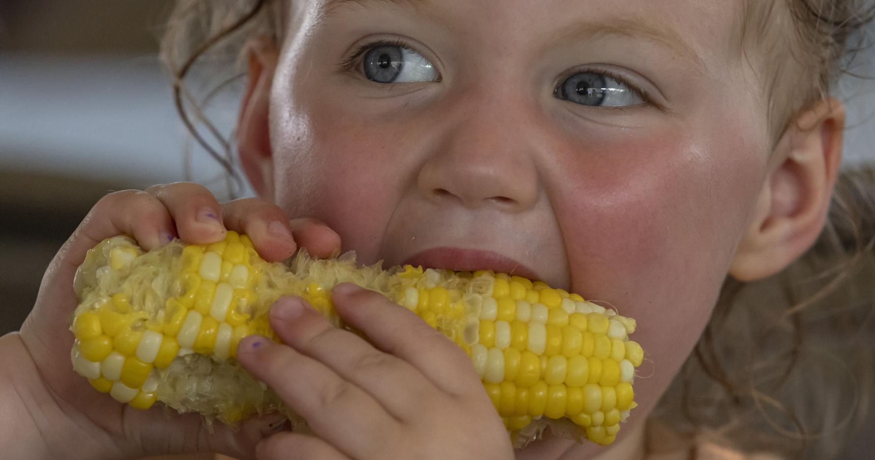 Fairs named after foods draws visitors into towns - Vimarsana News