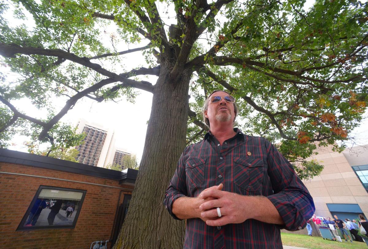 illinois state university bids farewell to king of the forest